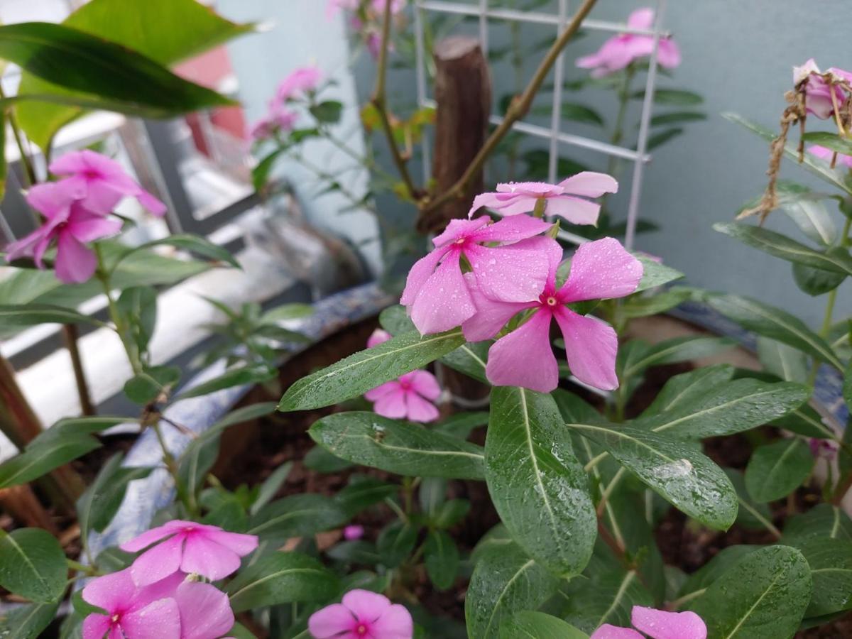 Alley Homestay ฮานอย ภายนอก รูปภาพ